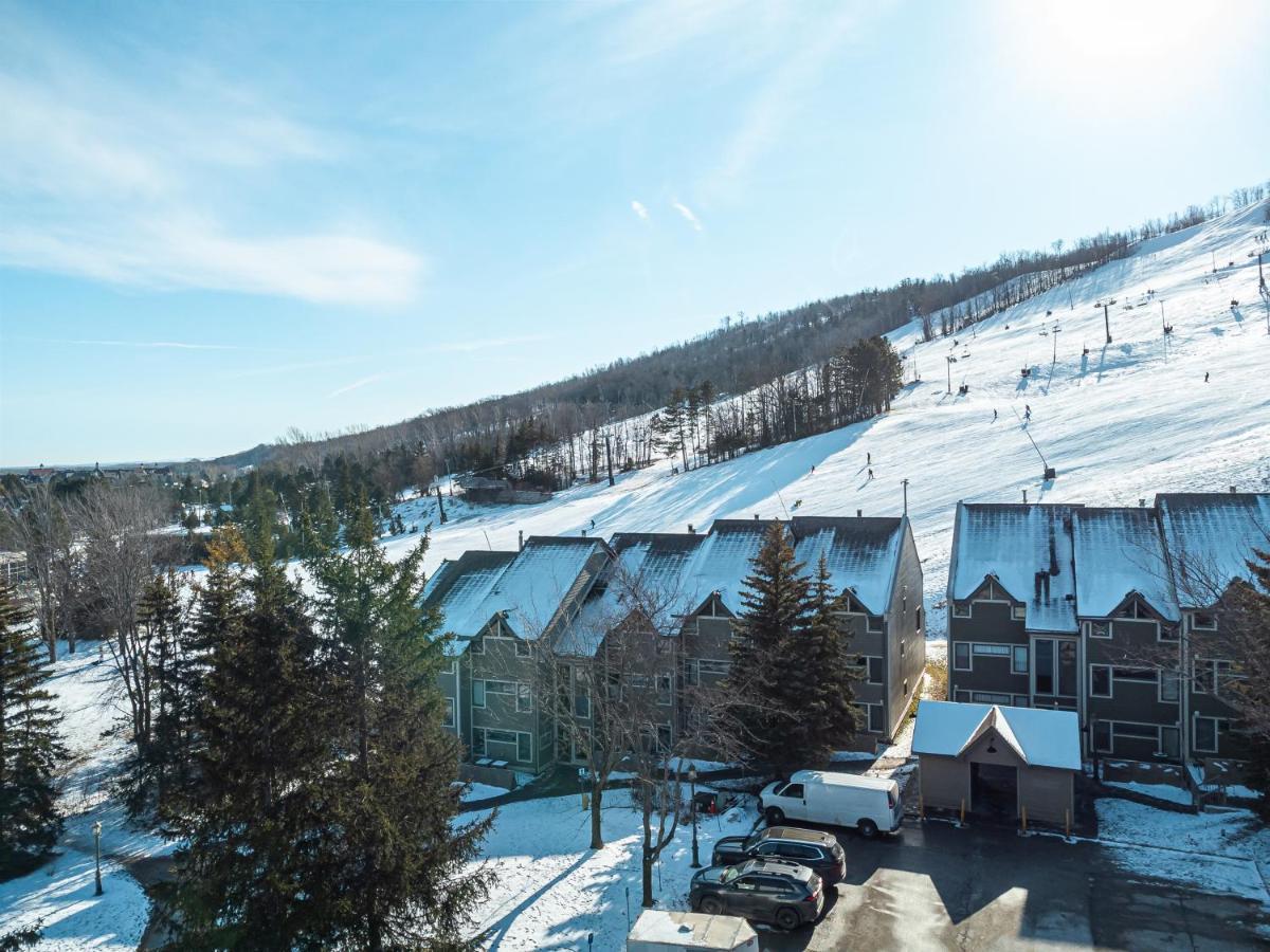 Ski In Out Mountainside Chalet 83001 Blue Mountains Exterior photo