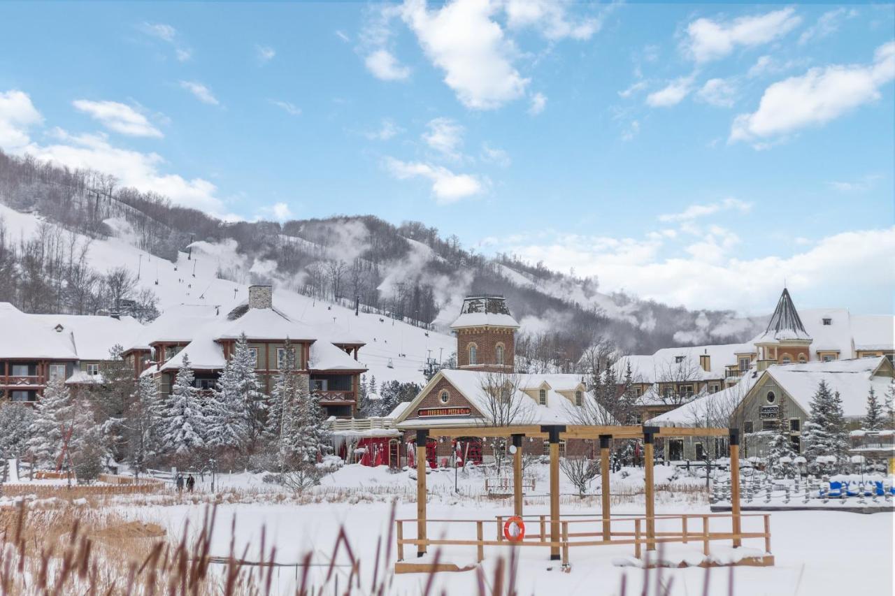 Ski In Out Mountainside Chalet 83001 Blue Mountains Exterior photo